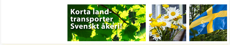 Milj�bild